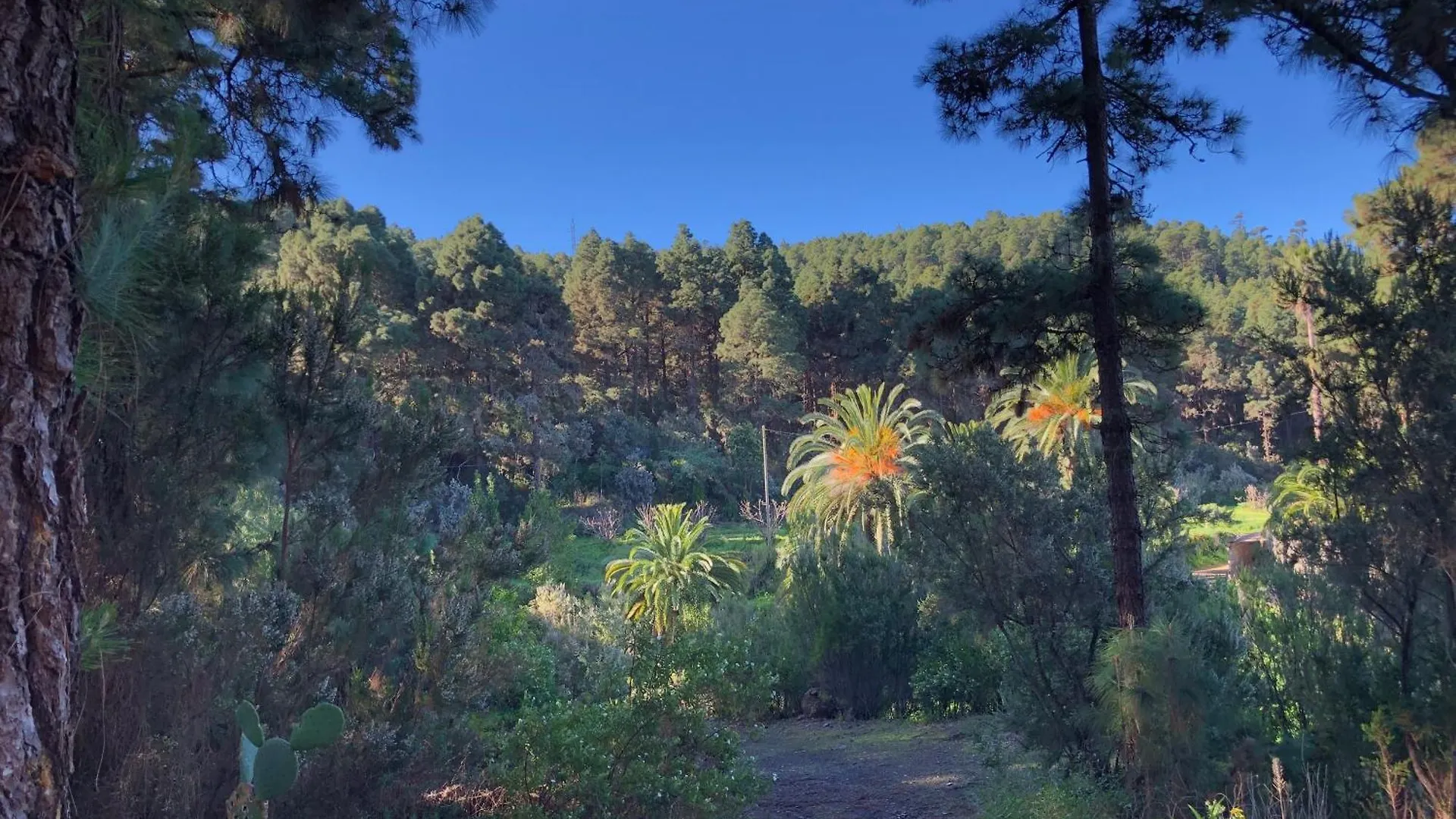 乡村民宿 Monte Frio De Tenerife La Guancha 西班牙